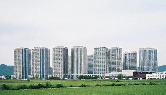 旅游接待流程中的常见问题及优化建议